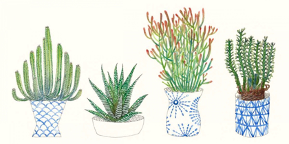 Picture of FOUR SUCCULENTS I