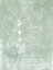 Picture of ESSENTIAL BOTANICALS I