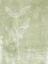 Picture of ESSENTIAL BOTANICALS IV