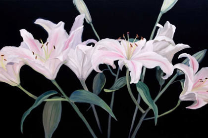 Picture of DRAMATIC LILIES