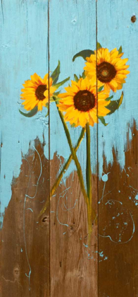 Picture of SUNFLOWERS ON WOOD I