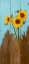 Picture of SUNFLOWERS ON WOOD I