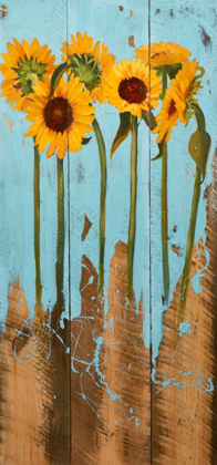 Picture of SUNFLOWERS ON WOOD II