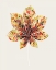 Picture of FALL MOSAIC LEAF IV