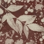 Picture of BOTANY EXPRESSIONS III