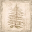 Picture of STONE LEAF I