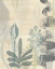 Picture of UNDERSEA GARDEN I