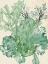 Picture of SEAWEED COMPOSITION II