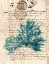 Picture of VINTAGE TEAL SEAWEED III