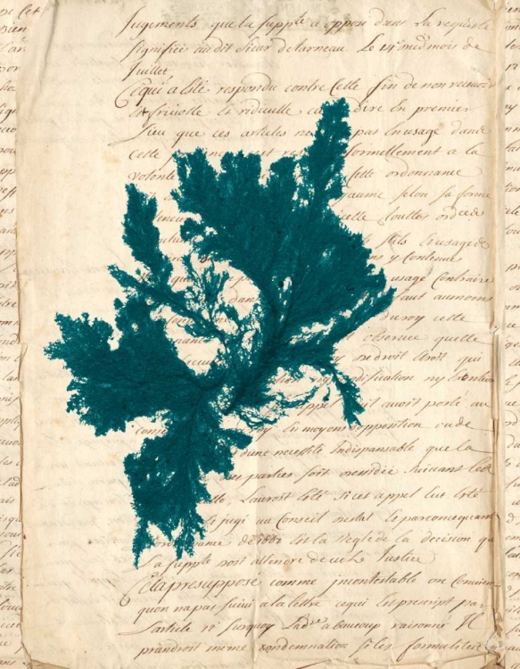 Picture of VINTAGE TEAL SEAWEED IV