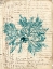 Picture of VINTAGE TEAL SEAWEED VI