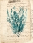 Picture of VINTAGE TEAL SEAWEED VII