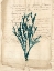 Picture of VINTAGE TEAL SEAWEED VIII