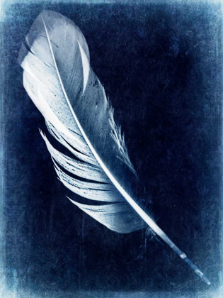 Picture of INVERTED FEATHER I