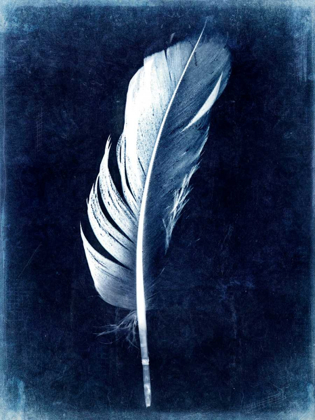 Picture of INVERTED FEATHER II