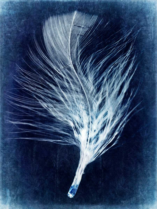 Picture of INVERTED FEATHER III
