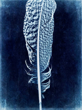 Picture of INVERTED FEATHER IV