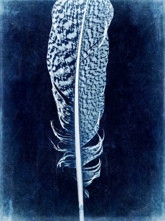 Picture of INVERTED FEATHER IV