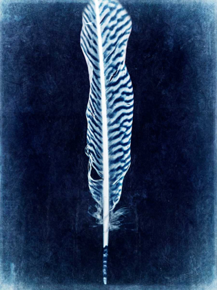 Picture of INVERTED FEATHER V
