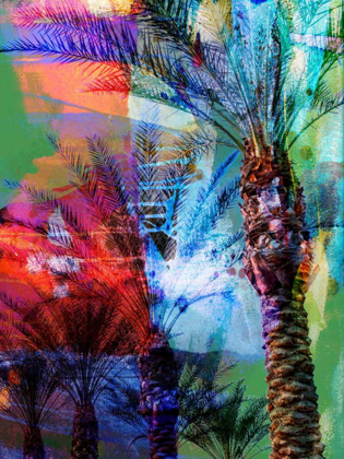Picture of DESERT PALM ABSTRACT 