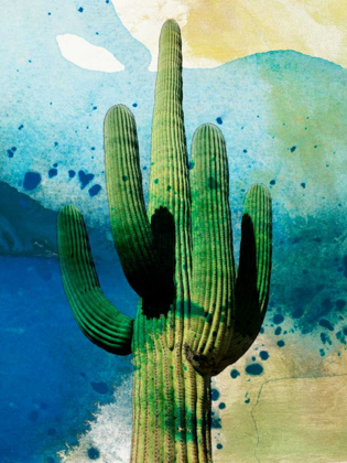 Picture of CACTUS ABSTRACT