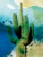 Picture of CACTUS ABSTRACT