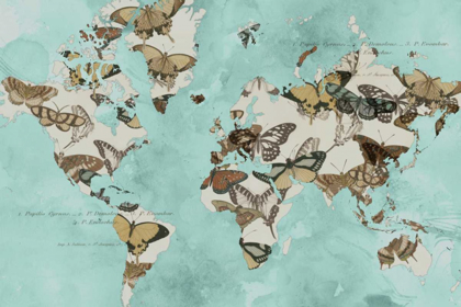 Picture of MIGRATION OF BUTTERFLIES