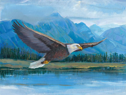 Picture of EAGLE SOARING