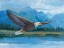 Picture of EAGLE SOARING