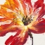 Picture of FLEUR ROUGE II