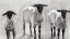 Picture of RUSTIC SHEEP II
