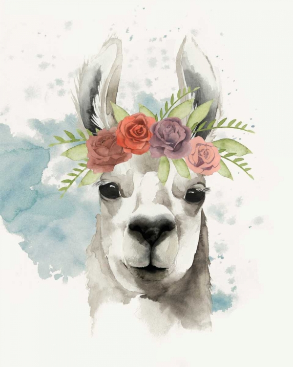 Picture of LLAMA FLORA I