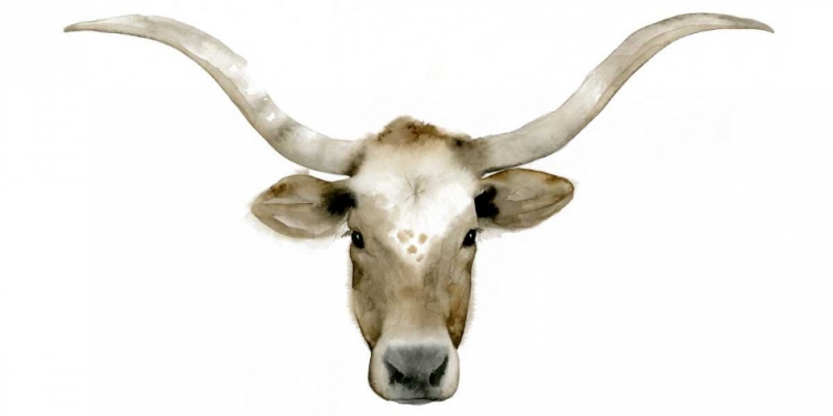 Picture of LONGHORN STEER II