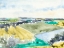 Picture of WATERCOLOR FIELD II