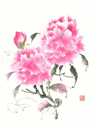 Picture of PEONIE BLOSSOMS II