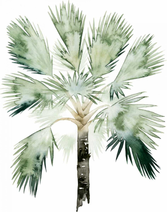 Picture of WATERCOLOR PALM OF THE TROPICS I