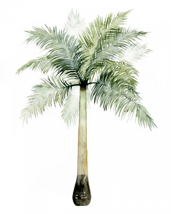 Picture of WATERCOLOR PALM OF THE TROPICS II