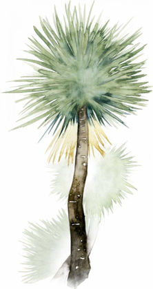 Picture of PALM IN WATERCOLOR II