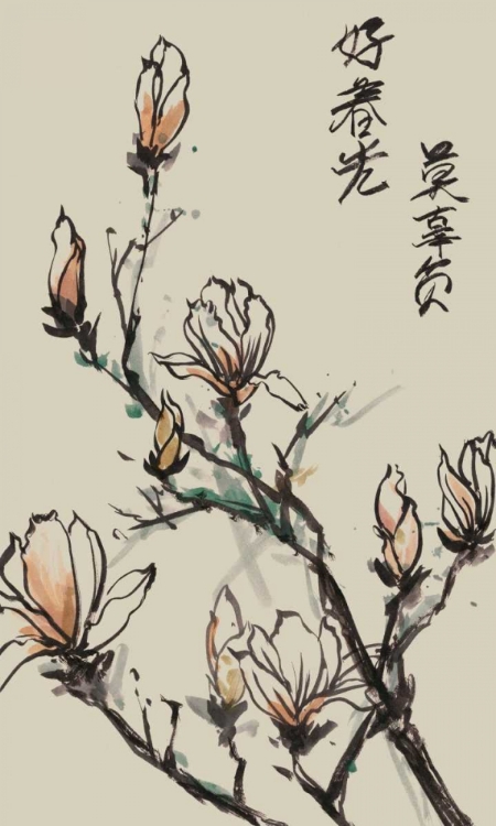 Picture of MANDARIN MAGNOLIA I