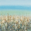 Picture of SHORELINE FLOWERS II