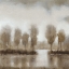 Picture of SUBTLE REFLECTION II