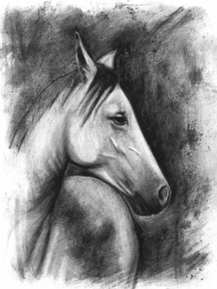 Picture of CHARCOAL EQUESTRIAN PORTRAIT I