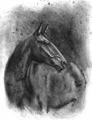 Picture of CHARCOAL EQUESTRIAN PORTRAIT III