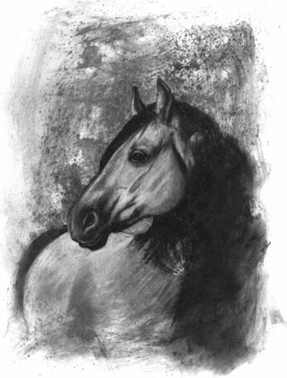 Picture of CHARCOAL EQUESTRIAN PORTRAIT IV