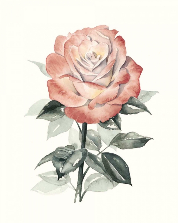 Picture of BEHOLDEN ROSE I