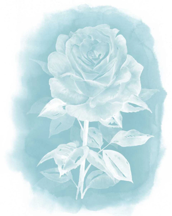 Picture of GHOST ROSE I