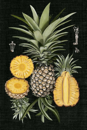 Picture of GRAPHIC PINEAPPLE BOTANICAL STUDY I