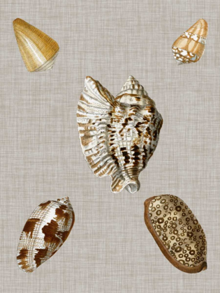 Picture of SHELLS ON LINEN I