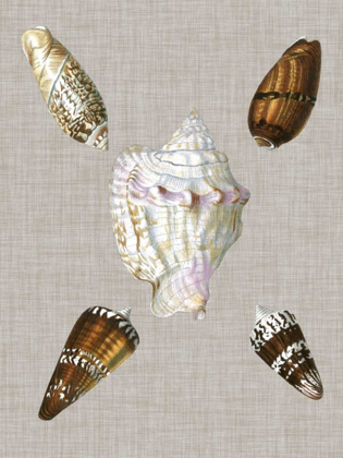 Picture of SHELLS ON LINEN II