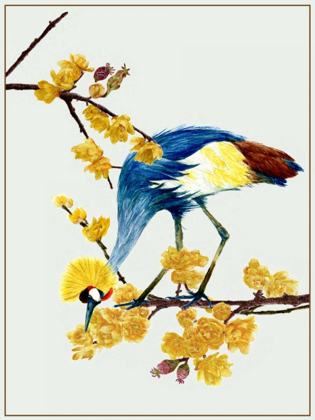 Picture of CHIMONANTHUS PRAECOX I